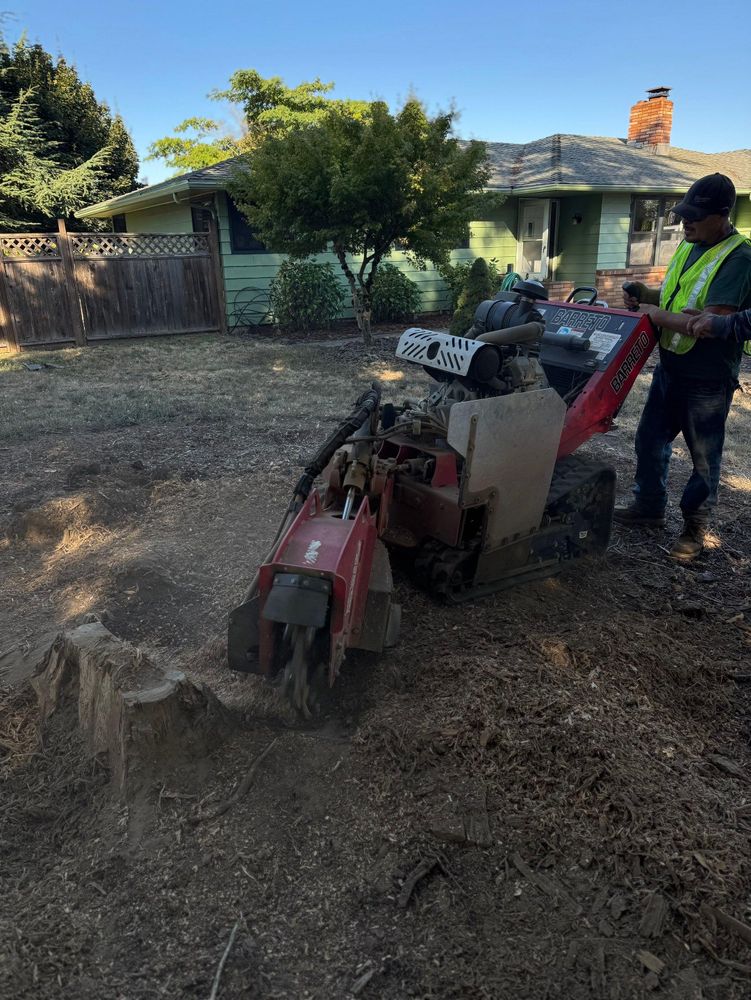 All Photos for Willamette Landscaping and Tree Services in Albany, OR