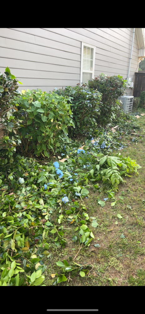 All Photos for WD Lawn Services in Loganville, GA