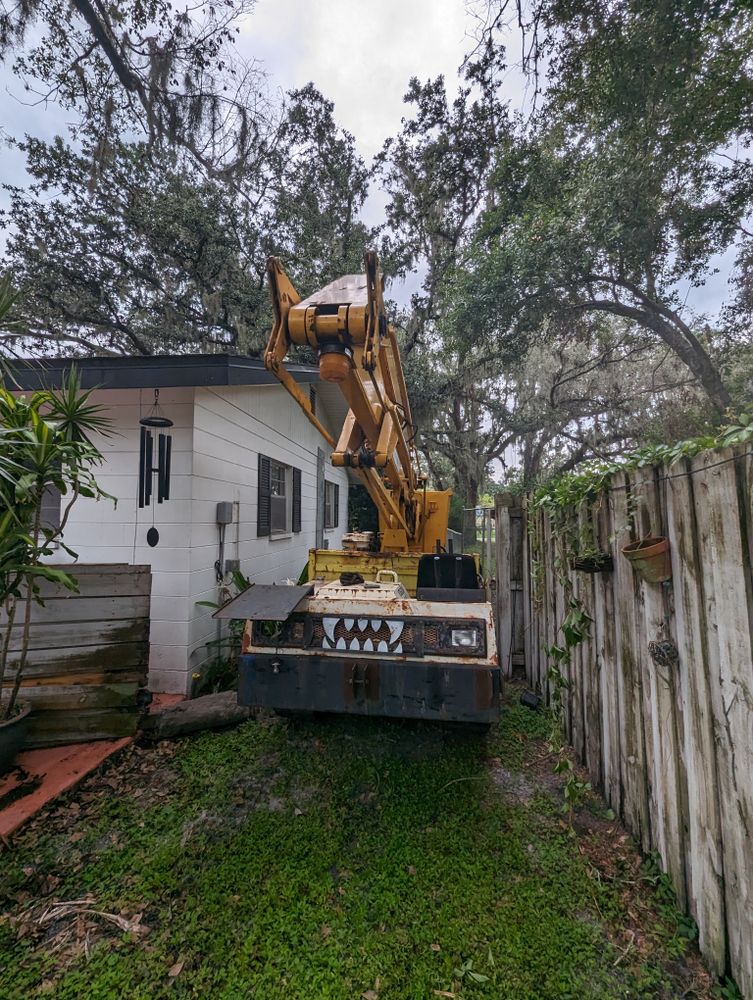 All Photos for Regal Tree Service and Stump Grinding in Wauchula, FL