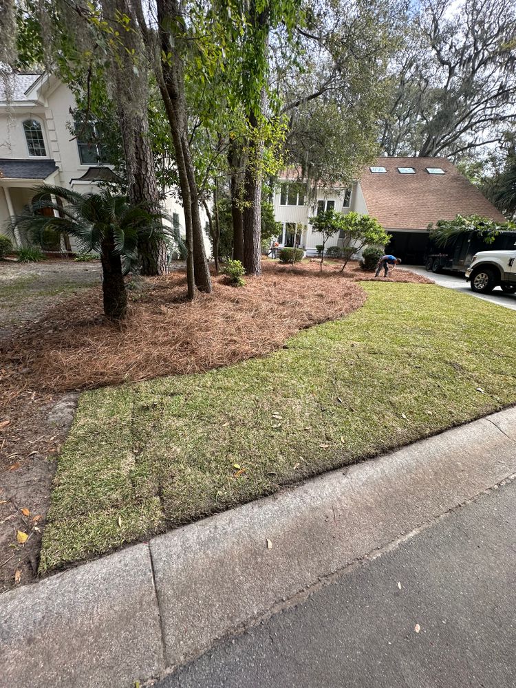 Pine Straw  for Coastalscapes Landscaping & Turf Management  in Savannah, GA