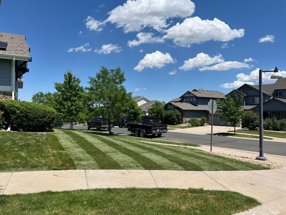 All Photos for Escala Concrete & Landscaping in Colorado Springs, CO