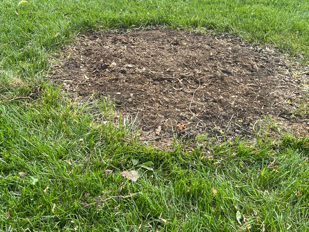 All Photos for Mark’s Mowing & Landscaping LLC  in Ashville, OH