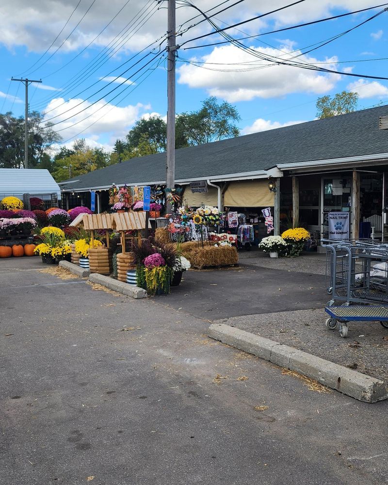 All Photos for Cut a Rug Flooring in Lake Orion, MI