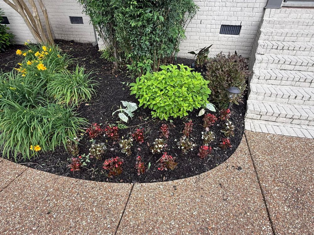 All Photos for The Right Price Right Choice Lawn Care Services in Murfreesboro, TN