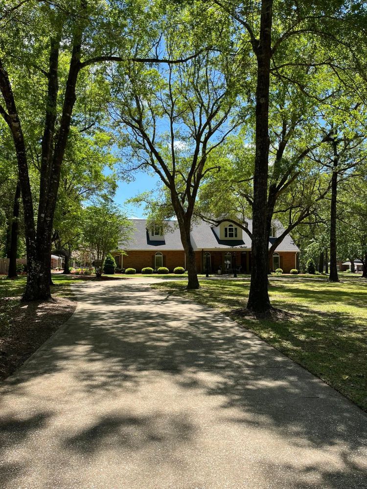 All Photos for Landscaping Pros in Hurley, MS