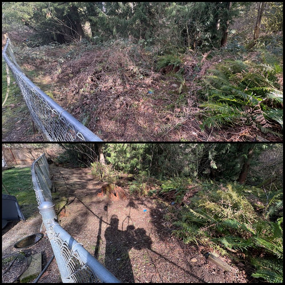 Fall Clean Up for Golovin Property Services LLC in Marysville, WA