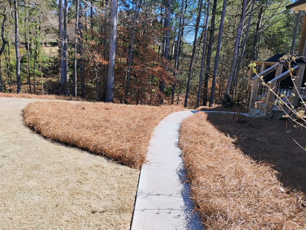 All Photos for BAM Another Pinestraw Lot in Flowery Branch, GA