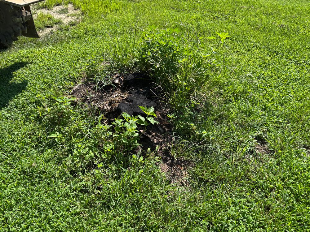 All Photos for Conrad's Stump Removal in Columbus, IN