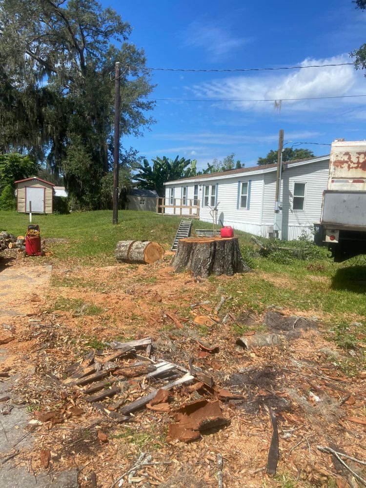 All Photos for Efficient and Reliable Tree Service in Lake Wales, FL