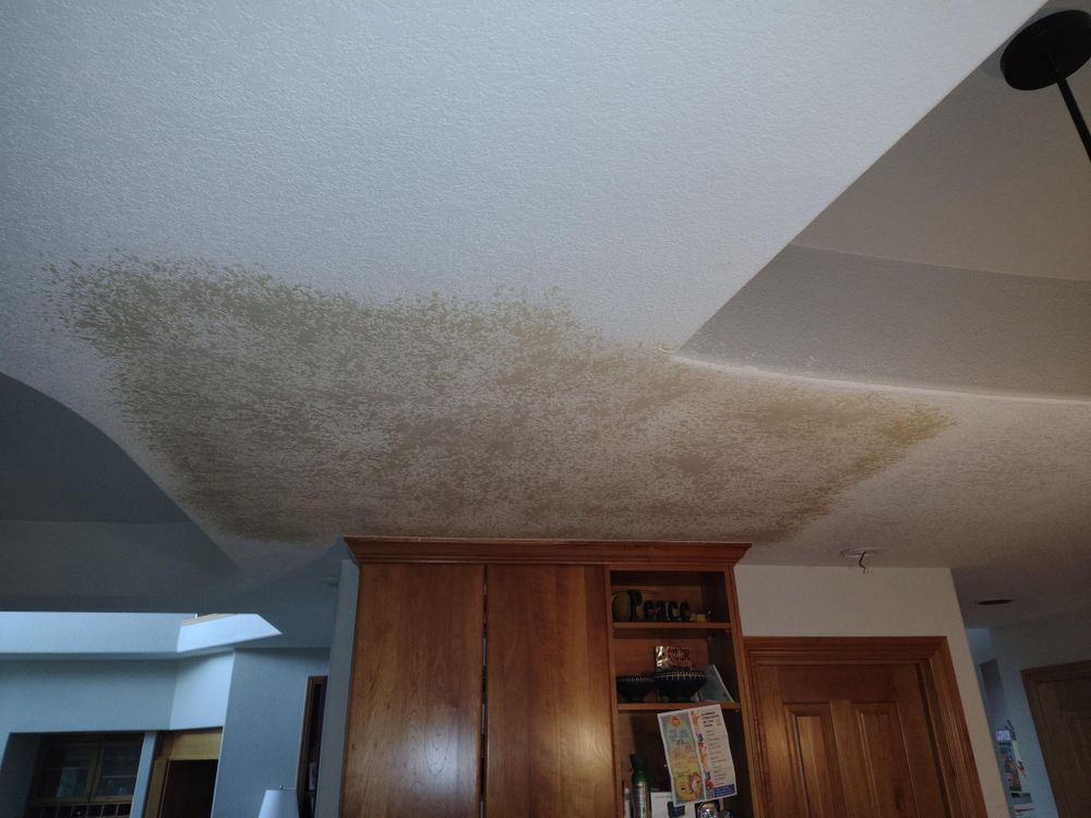 All Photos for Berry Handy Services in Loveland, CO