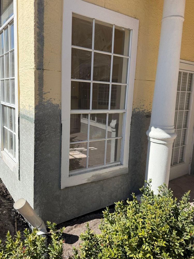 All Photos for Escorpio Painting in Tampa, FL