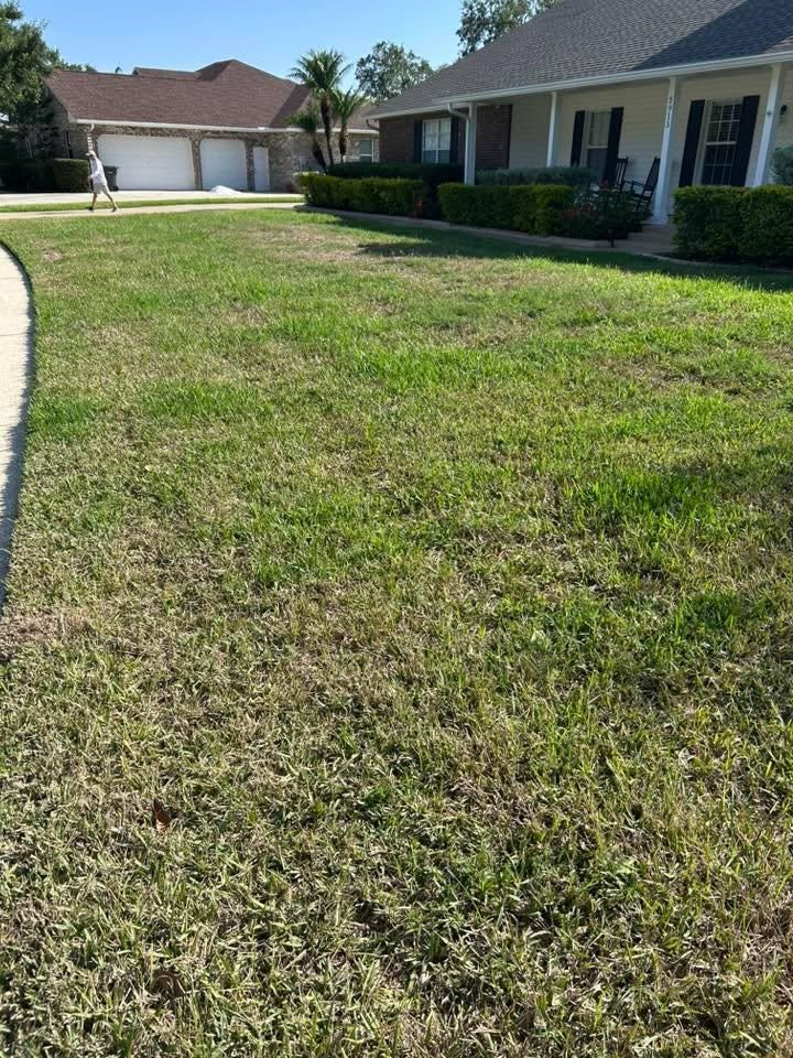 All Photos for Estrada All Pro Lawn Service in Auburndale, Florida