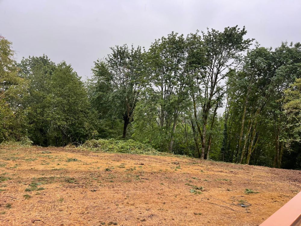 Land Clearing & Logging for DCX LLC in Gresham, OR