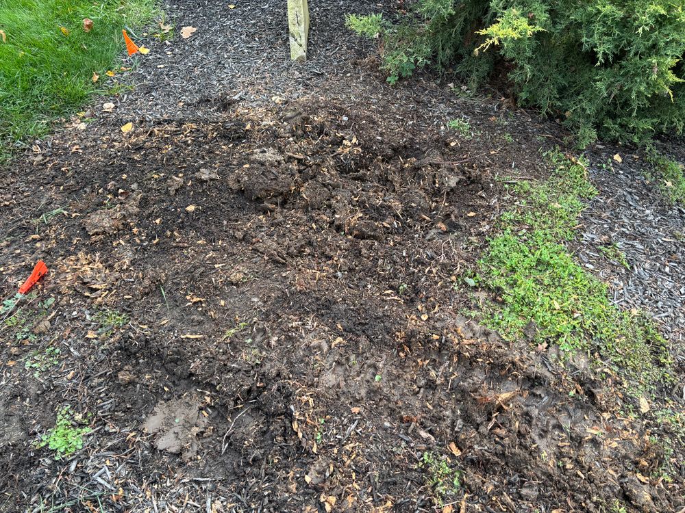 All Photos for Conrad's Stump Removal in Columbus, IN