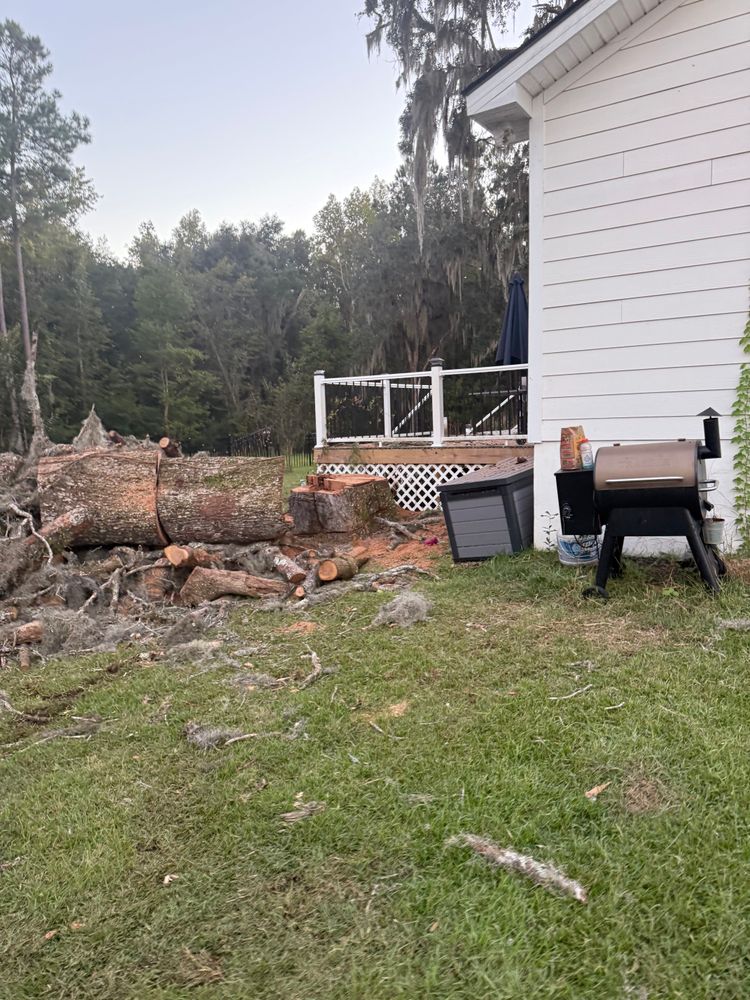 All Photos for Hawkins Tree Service & Land Management in Richmond Hill, GA