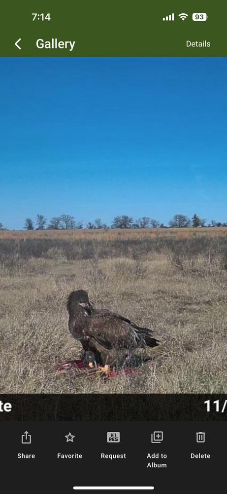 All Photos for Garza Solutions in Owasso, OK