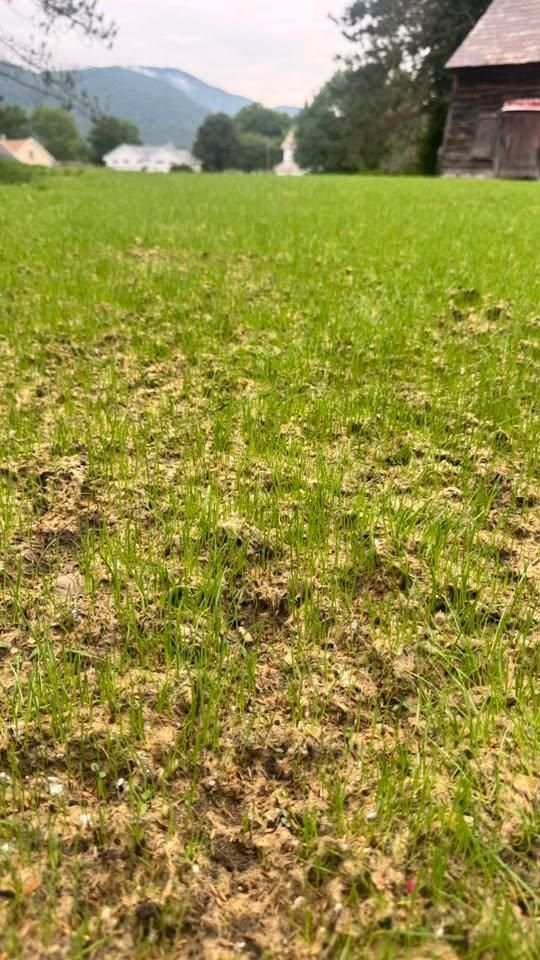 All Photos for Levi Allen Lawn Care in Rutland County, VT