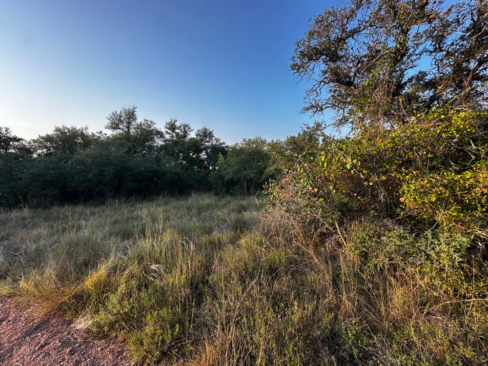 All Photos for 512 Land Clearing in Blanco County, TX