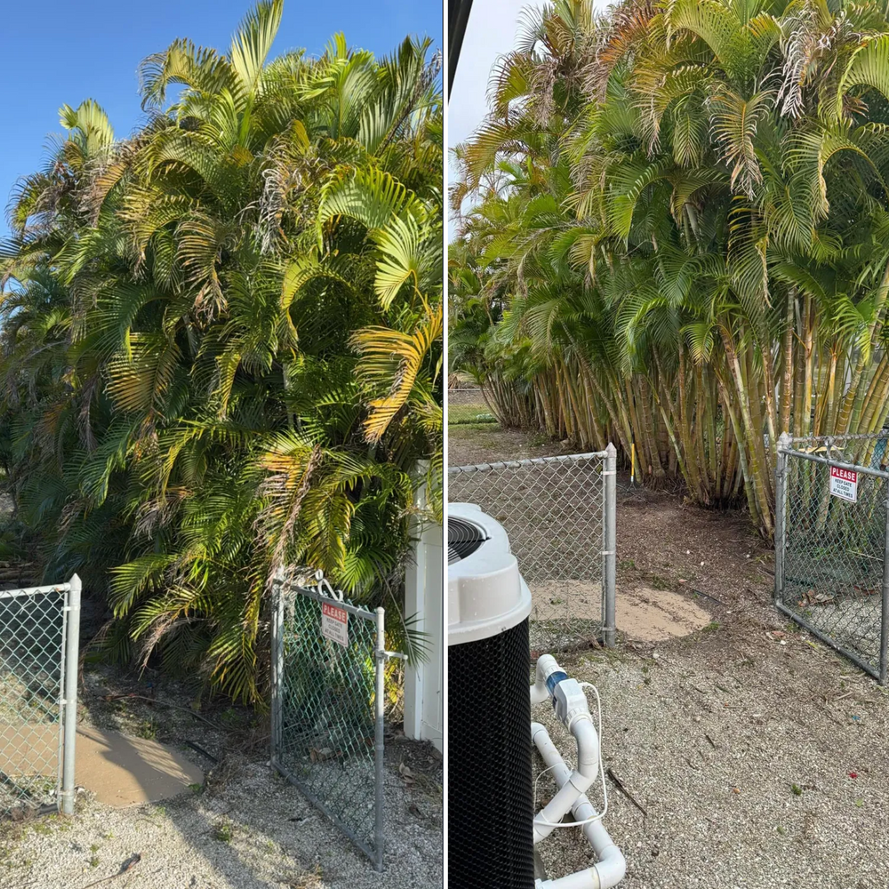 Our Shrub Trimming service offers expert pruning and shaping to enhance the appearance of your landscaping, promoting healthy growth and improving overall curb appeal of your home. for Lemon Bay Tree Service  in Englewood, FL