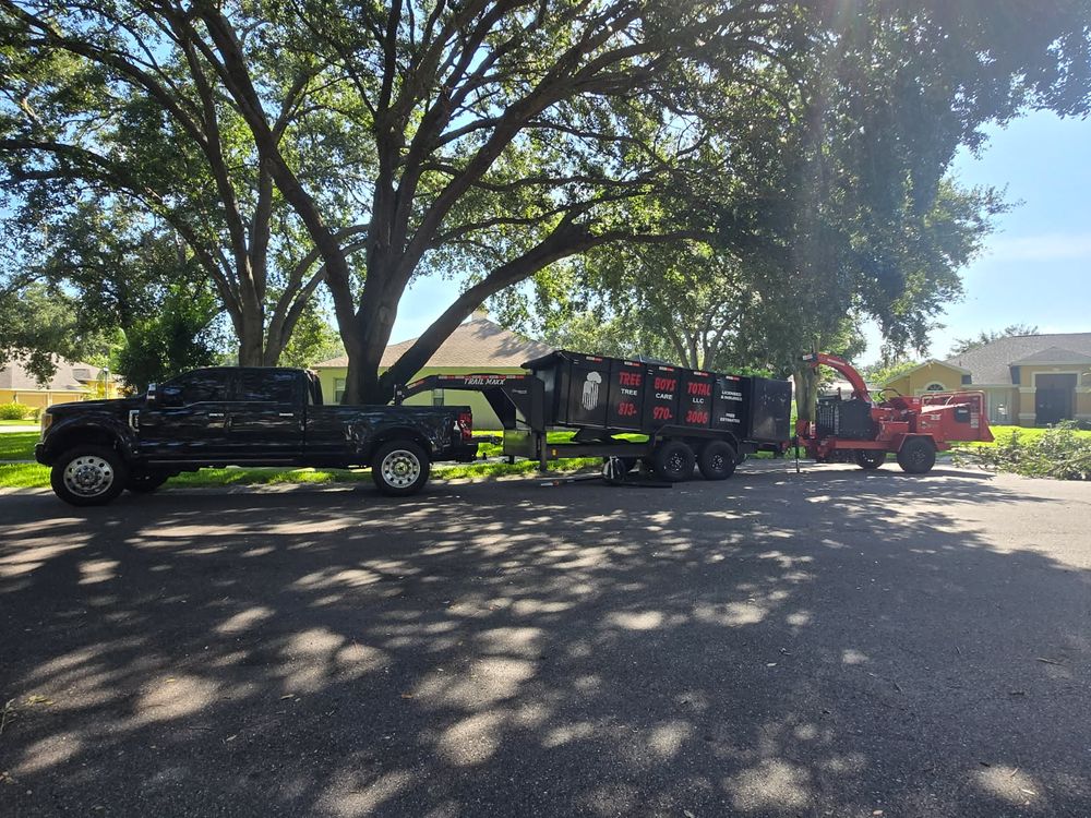 All Photos for TREE BOYS in Ruskin, FL