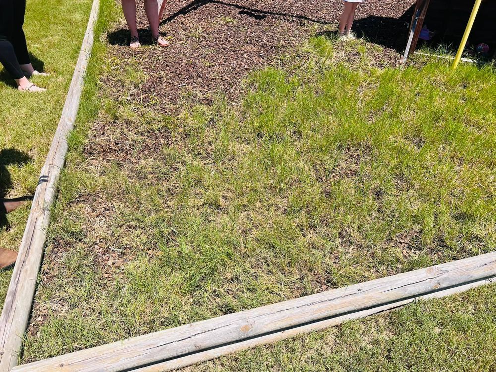 All Photos for Rustic Roots Landscaping in Austin, TX