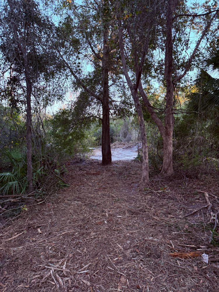 All Photos for Amerigrown Tree And Lawn in Apopka, FL