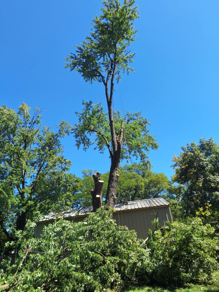 All Photos for Highborn Tree Service in Wheatfield, IN