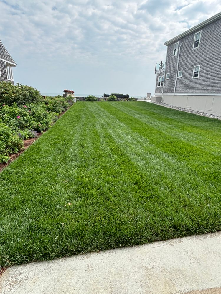 All Photos for Pungitore Landscapes, Irrigation & Fertilizer in Hingham, MA