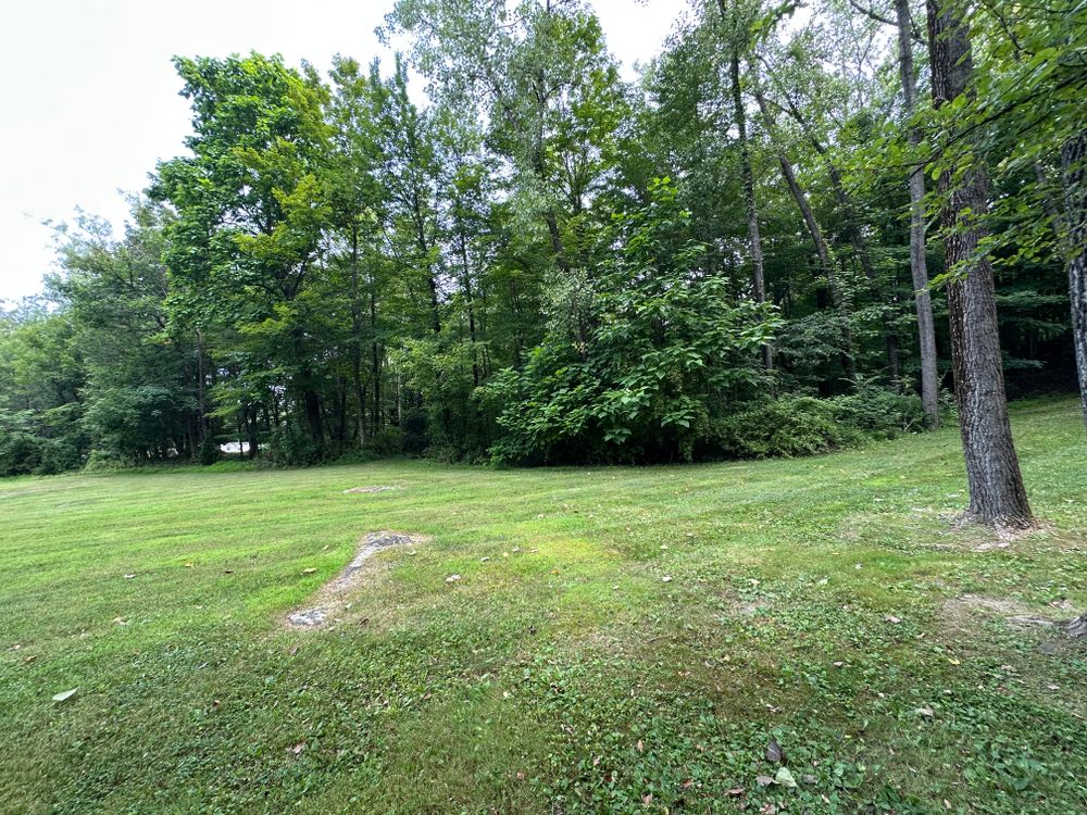 Fall Clean Up for Cuellar Lawn Care in Highland , NY 