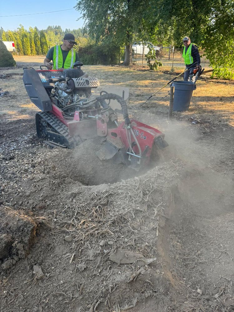 All Photos for Willamette Landscaping and Tree Services in Albany, OR
