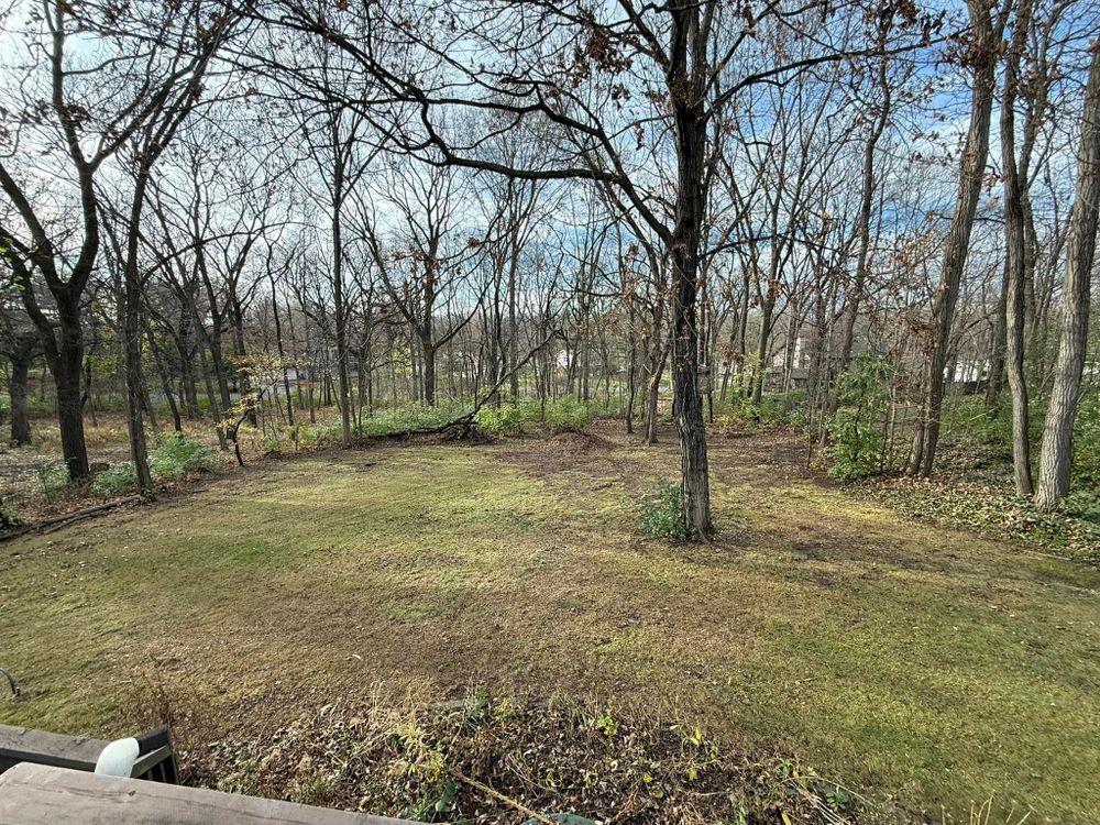 All Photos for B&G Lawn Care in Roscoe, IL
