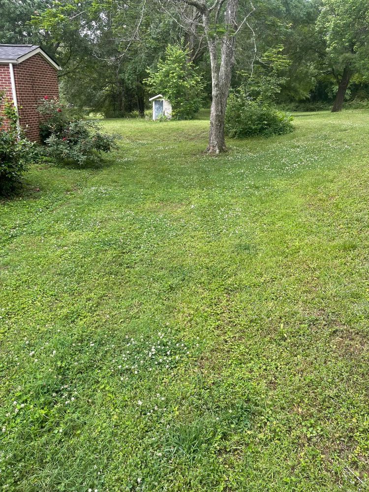 All Photos for Greenwood Lawn & Landscaping LLC in Talladega, Alabama