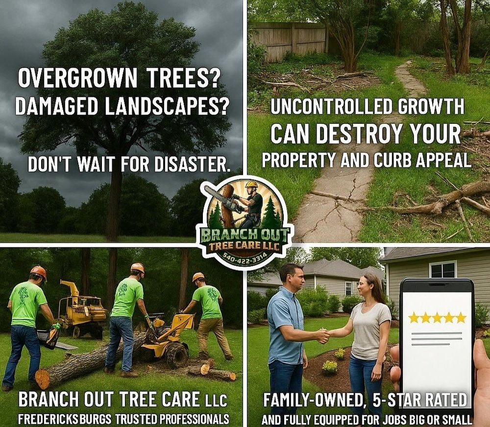 All Photos for Branch Out Tree Care LLC in Fredericksburg, VA