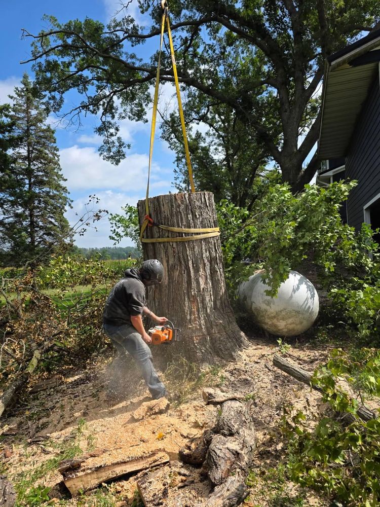 All Photos for Down To Earth Tree Service in Red Wing, MN