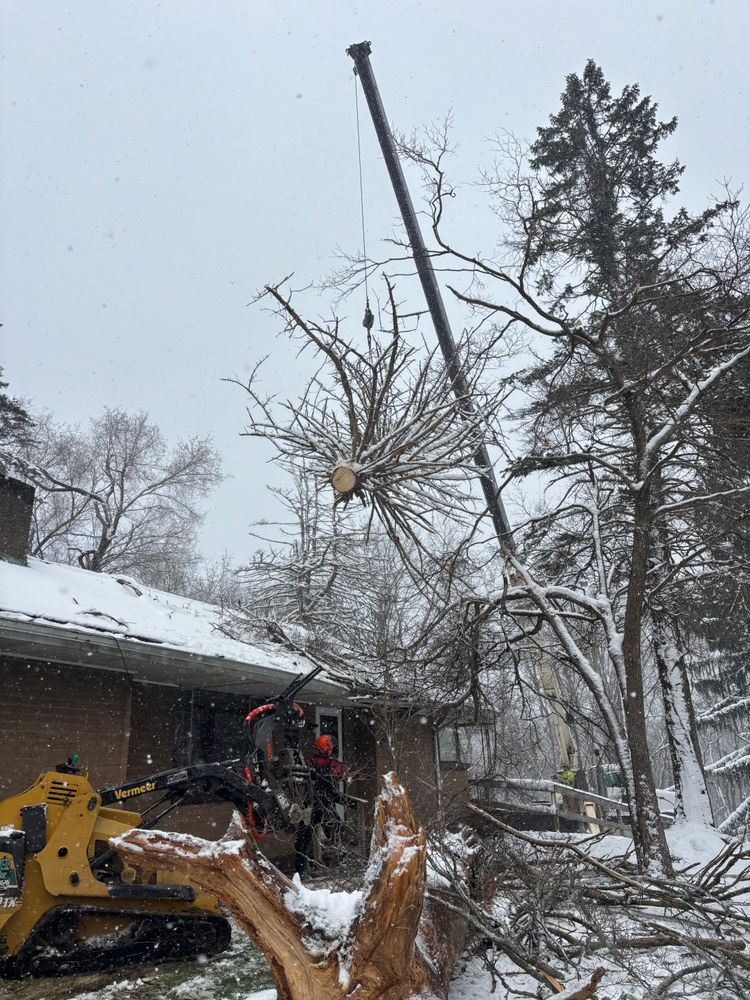 Shrub Trimming for JJ Tree Service in Gibsonia, PA