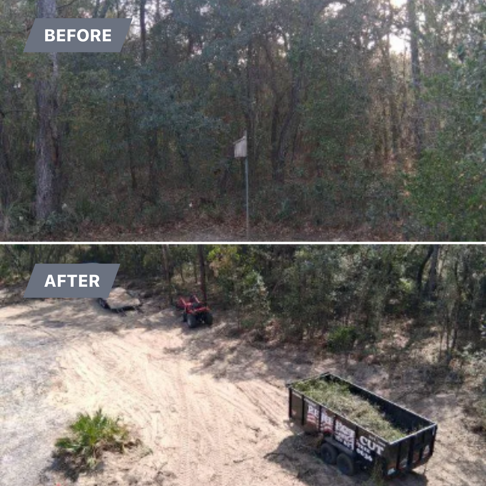 All Photos for Perfect Cut Lawn & Tree Care in Citrus County, FL