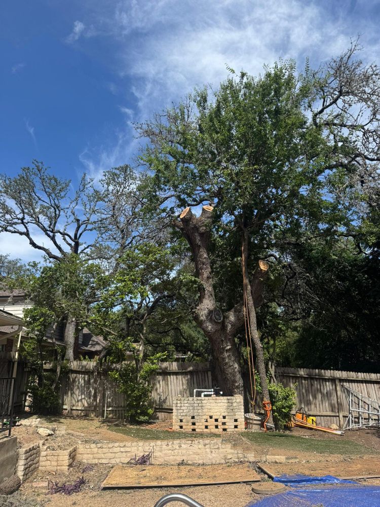 All Photos for Z’s Trees LLC in Grey Forest, TX