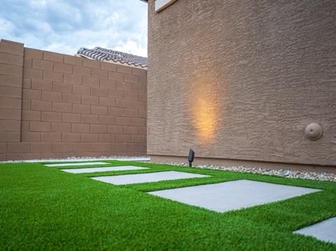 All Photos for All Green Landscapes in Phoenix, AZ