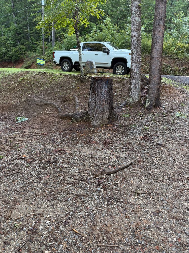 Our professional stump removal service efficiently eliminates tree stumps, enhancing your landscape's appearance and safety. We use advanced equipment to ensure complete removal, promoting a healthier and more attractive yard. for T Crane Grading LLC in Clarkesville, GA