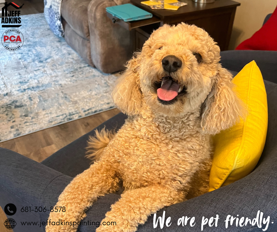 All Photos for Jeff Adkins Painting in Barboursville, WV