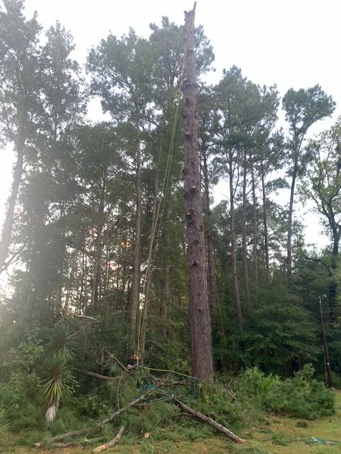 All Photos for Hawkins Tree Service & Land Management in Richmond Hill, GA
