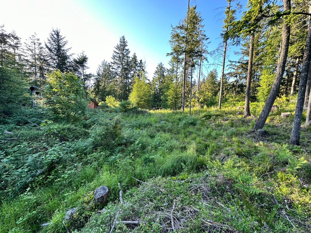 All Photos for MD Construction & Sewer in North Yelm, WA