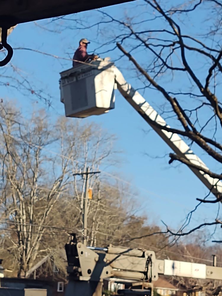 All Photos for Scott's Tree Service in Athens, TN