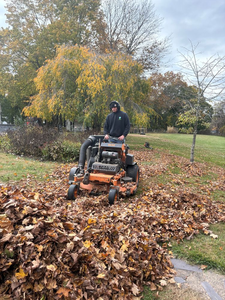 All Photos for Dibs Landscaping LLC in Cheshire, CT