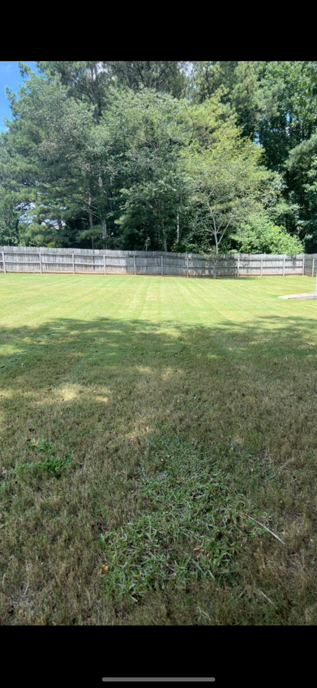 All Photos for WD Lawn Services in Loganville, GA
