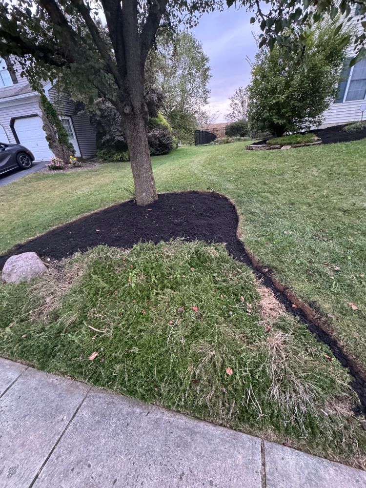 All Photos for Landscape & Lawn Care Pros in Temple, PA