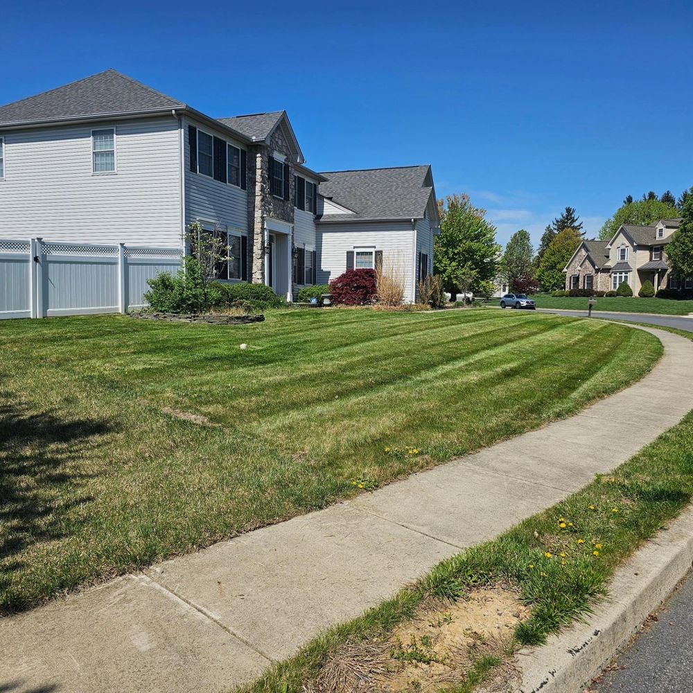 All Photos for Trippin A-Lawn in Bethlehem, PA