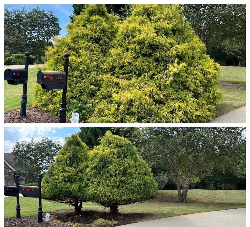 Landscaping for Elite Landscaping LLC in Anderson, SC