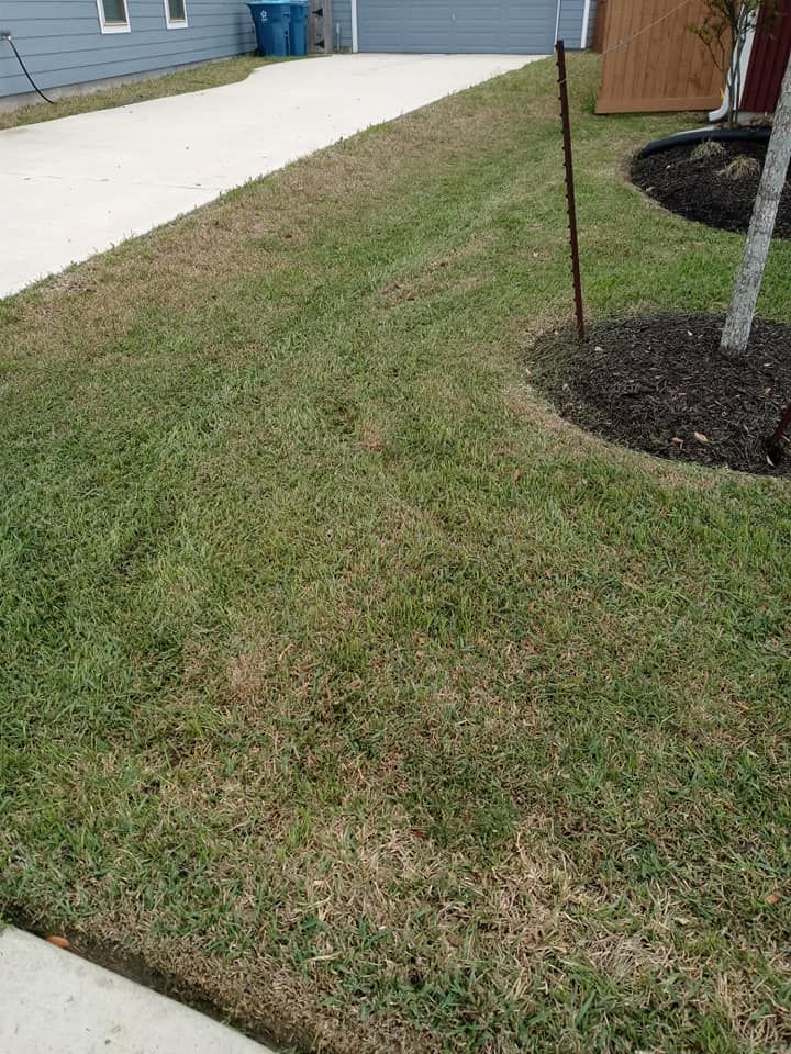 Lawn Care for The I AM Services in Houston, TX