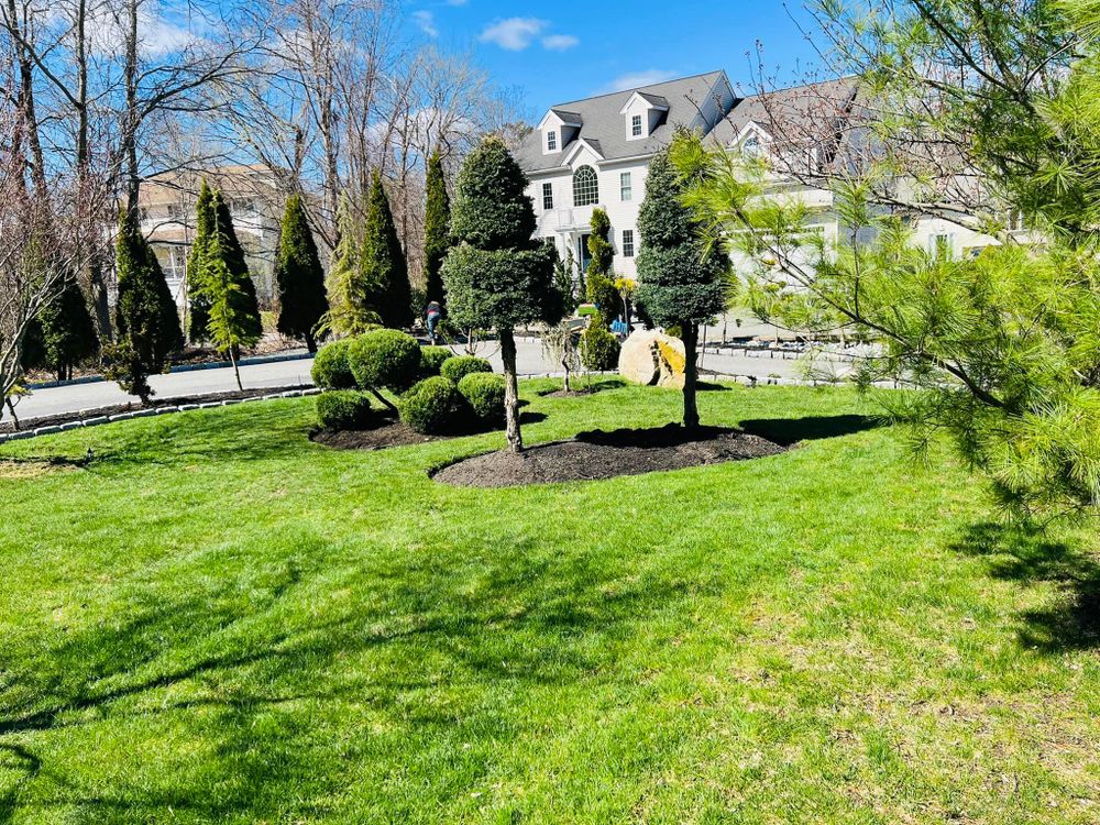 Our professional sod installation service transforms your yard with lush green grass, enhancing curb appeal and creating a beautiful outdoor space. We also offer mulch installation to complement your new landscape design. for JC Deleon landscaping Irrigation & Masonry in Saugus, MA